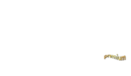 Cuddles® | Baby diapers, Wet wipes, Adult diapers, Lady napkins,